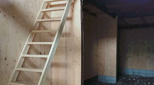 ���Ծ���� ���ܹ��¤�Ź�ޡ��ƥʥ�����ߤβ���