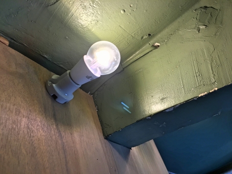 �������� �ͥĶ���Ź�ޡ��ƥʥ�����ߤβ���