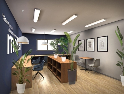 ˭��� ����ŷ����Ź�ޡ��ƥʥ�����ߤβ���