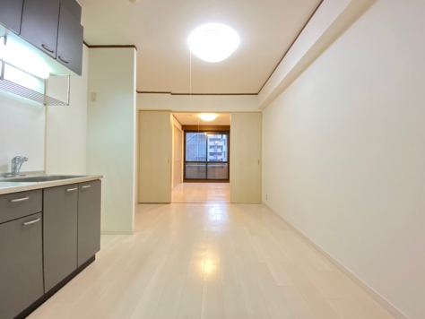 �������� �ͥĶ���Ź�ޡ��ƥʥ�����ߤβ���