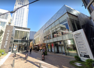 �����̶� ���Ĥ�Ź�ޡ��ƥʥ�����ߤβ���