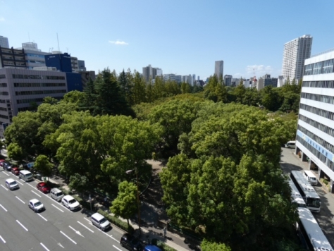 �������� ��Į��Ź�ޡ��ƥʥ�����ߤβ���