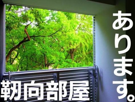 �������� ��嶶��Ź�ޡ��ƥʥ�����ߤβ���