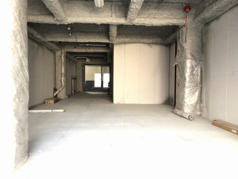 �������� ���綶��Ź�ޡ��ƥʥ�����ߤβ���