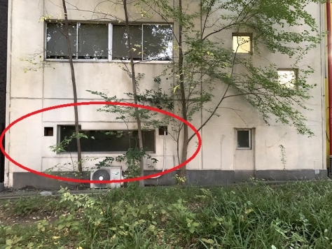 �������� ��Į��Ź�ޡ��ƥʥ�����ߤβ���