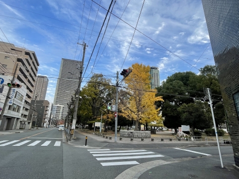 �����̶� ʡ���Ź�ޡ��ƥʥ�����ߤβ���