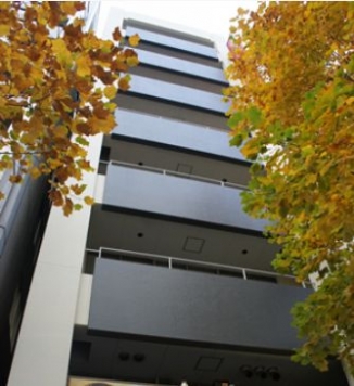 ��������� �����Į��Ź�ޡ��ƥʥ�����ߤβ���