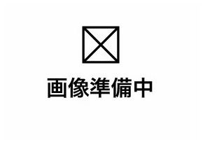 ˭��� ���Ӥ�Ź�ޡ��ƥʥ�����ߤδּ�����