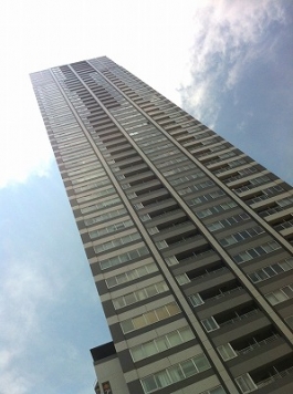 ��������� �䲰����Ź�ޡ��ƥʥ�����ߤβ���