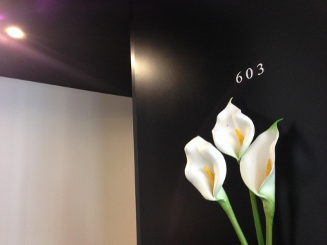 ��������� ��Į��Ź�ޡ��ƥʥ�����ߤβ���