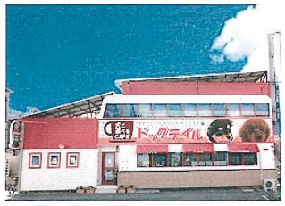 Ȭ���� ��ŴȬ����Ź�ޡ��ƥʥ�����ߤβ���