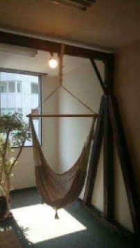 �������� ��嶶��Ź�ޡ��ƥʥ�����ߤβ���