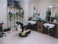 �������� ��Į��Ź�ޡ��ƥʥ�����ߤβ���