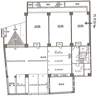 ��������� ��Į��Ź�ޡ��ƥʥ�����ߤδּ�����