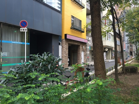 �������� �ͥĶ���Ź�ޡ��ƥʥ�����ߤβ���