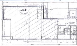 ��������� �䲰����Ź�ޡ��ƥʥ�����ߤδּ�����