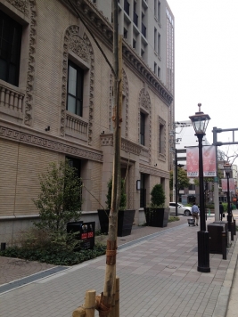 ��������� �䲰����Ź�ޡ��ƥʥ�����ߤβ���